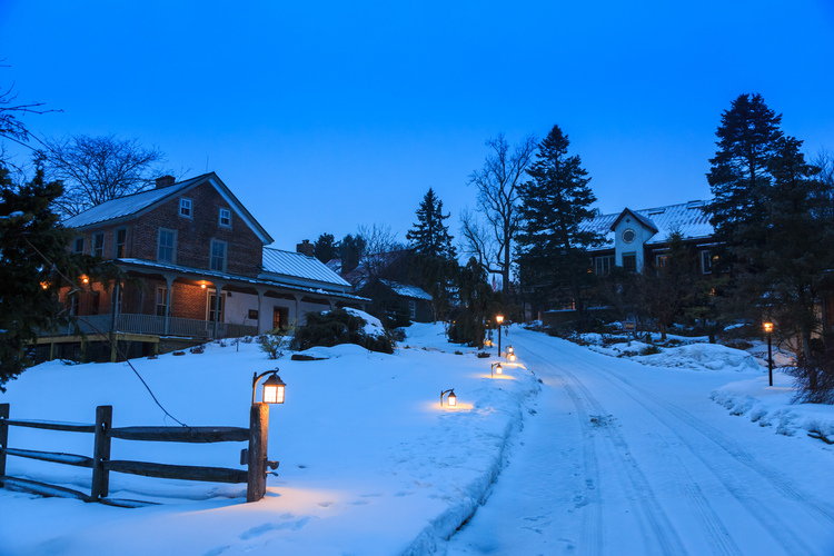 Glasbern in Winter