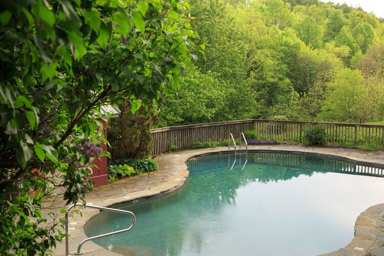 Pool surrounded by trees