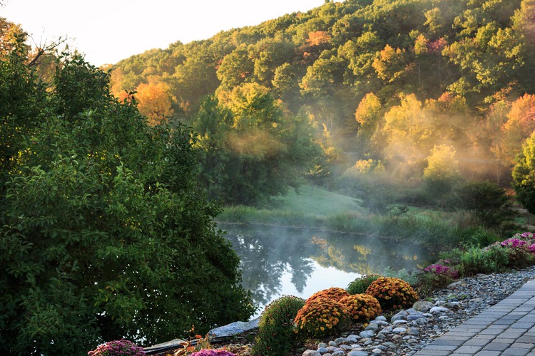 Pond in autumn