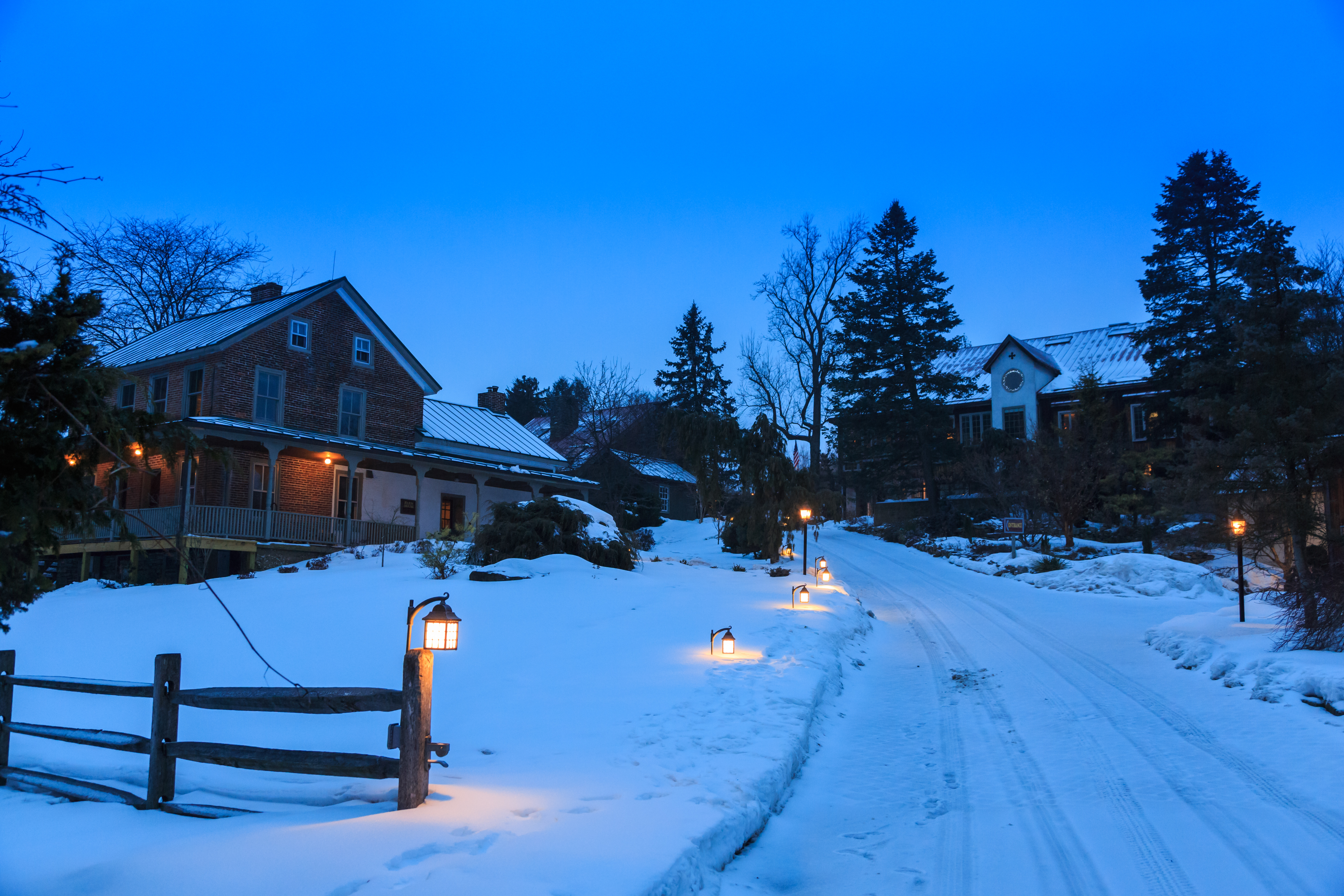 Glasbern in the snow