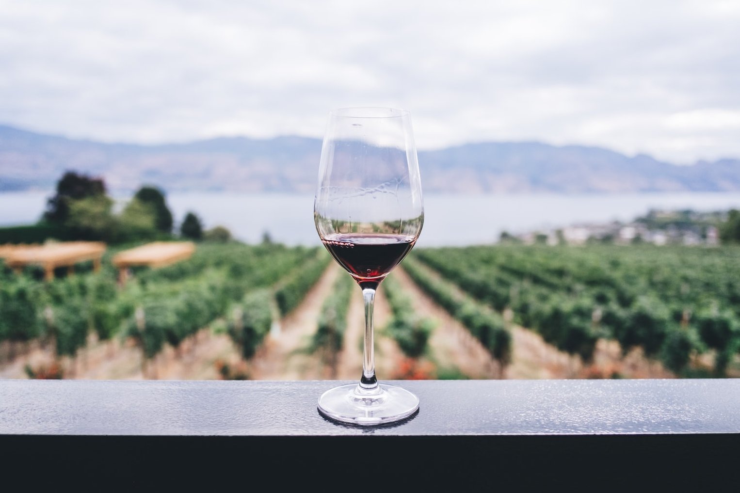 Wine glass in front of Vineyard